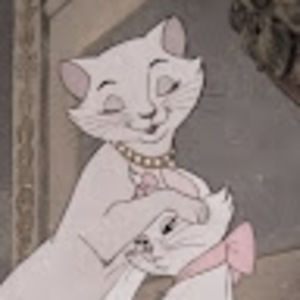 Meet your Posher, Maddie